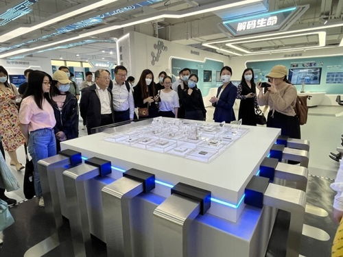 数字化成就点亮创新之路 上海市网络文化协会参观上海城市数字化转型体验馆