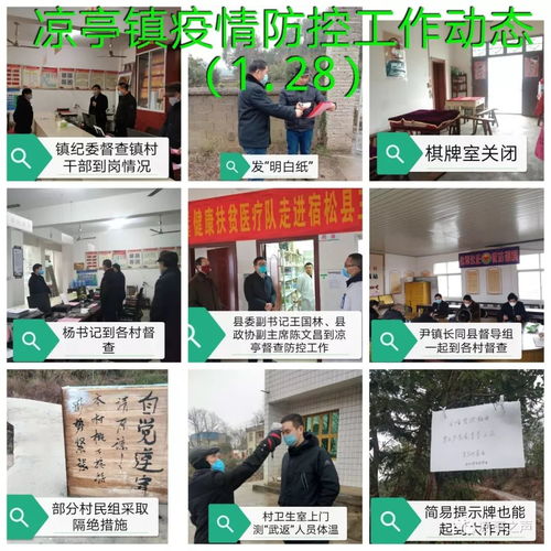 凉亭镇疫情防控 一张拼图，一方平安——记凉亭镇疫情防控工作动态网页设计